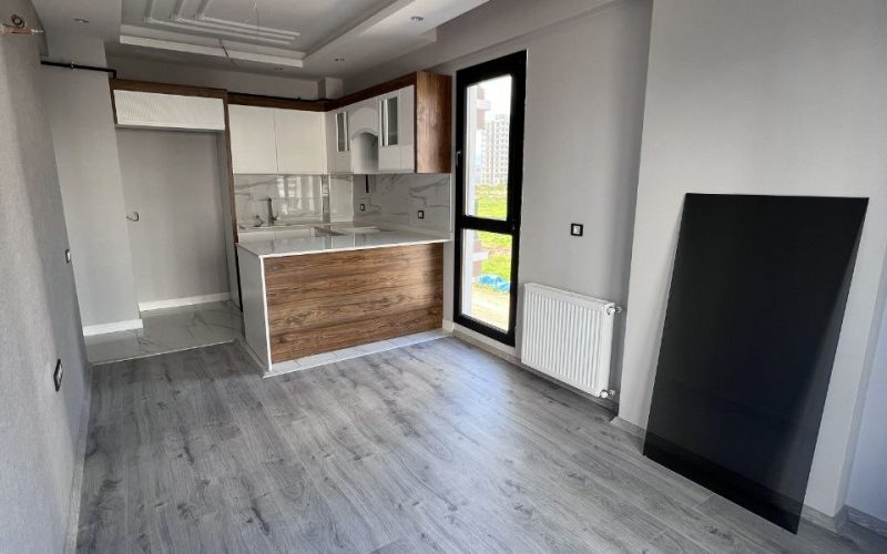 Квартира планировки 1+1 (Вар.1)